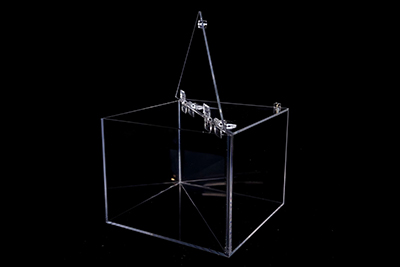 �����w��������